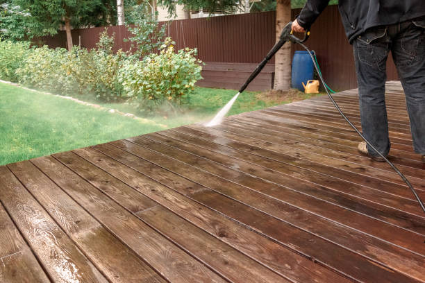 Best Rust Removal  in Knoxvle, IL