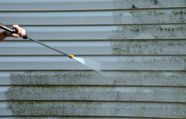 Best Parking Lot and Garage Cleaning  in Knoxvle, IL