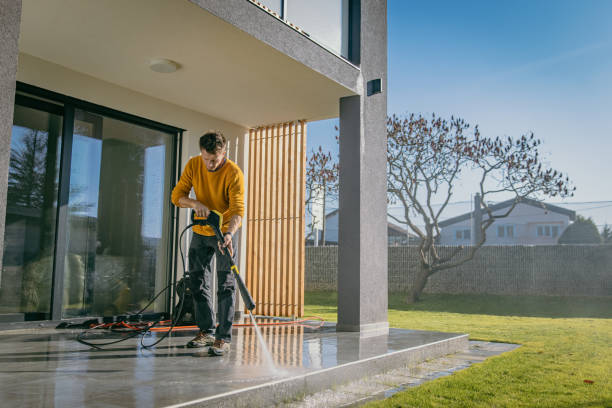 Best Spring Cleaning  in Knoxvle, IL