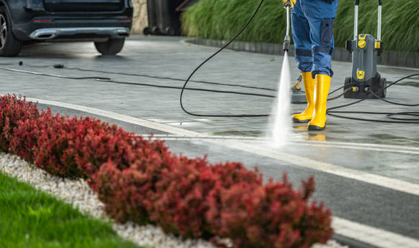 Best Sidewalk and Walkway Cleaning  in Knoxvle, IL